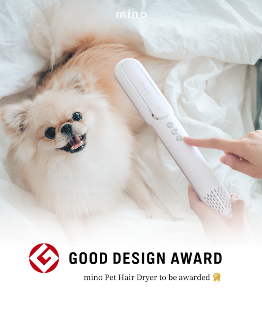 Good-Design-Award-受賞 mino Online Store
