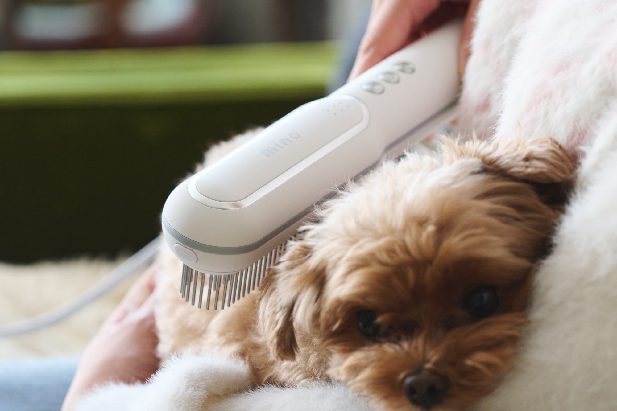 minoオンラインストア