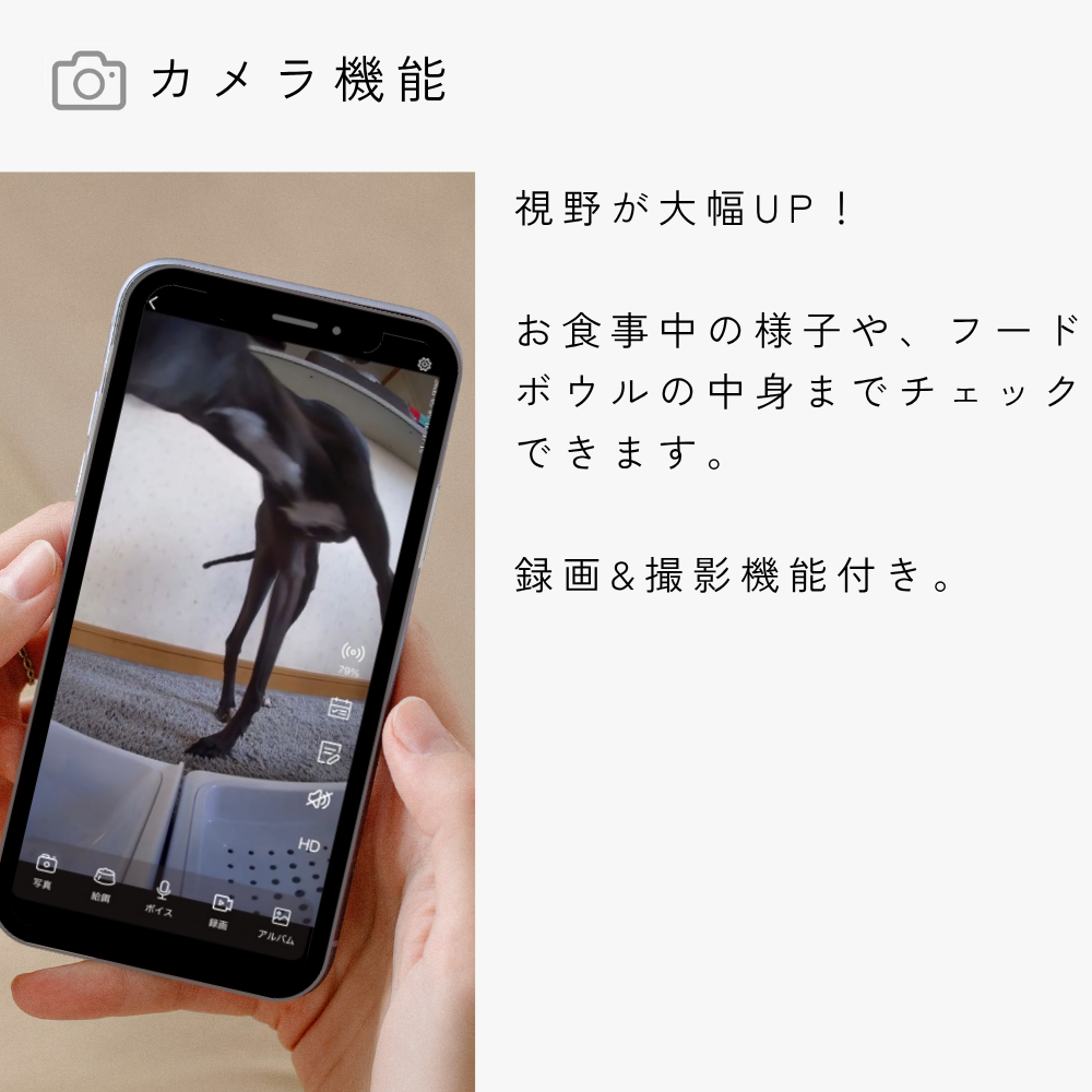 一体型スマート給餌給水器 mino Online Store