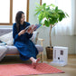 一体型スマート給餌給水器/自動給餌器/自動給水器 mino Online Store