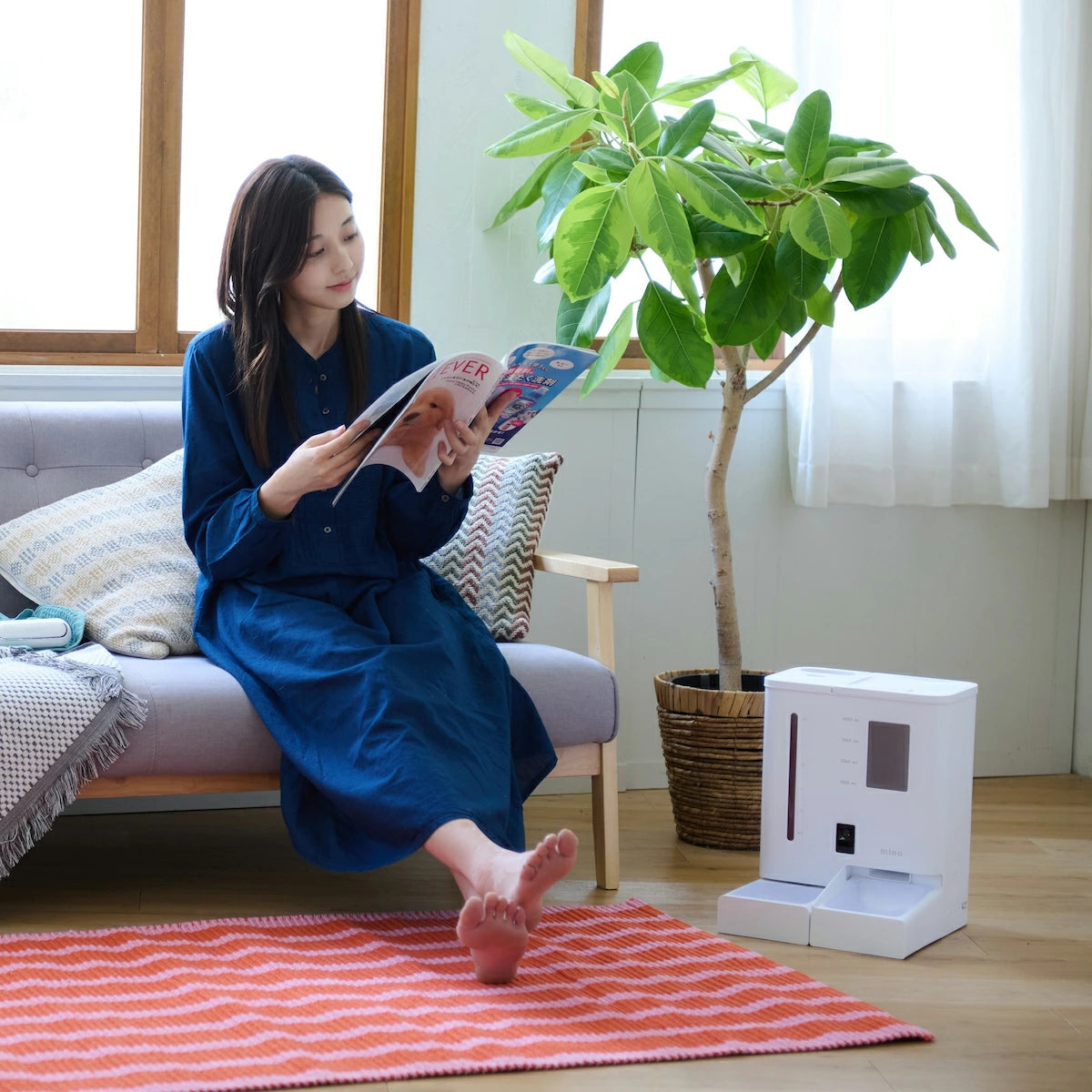 一体型スマート給餌給水器/自動給餌器/自動給水器 mino Online Store