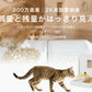 一体型スマート給餌給水器/自動給餌器/自動給水器 mino Online Store