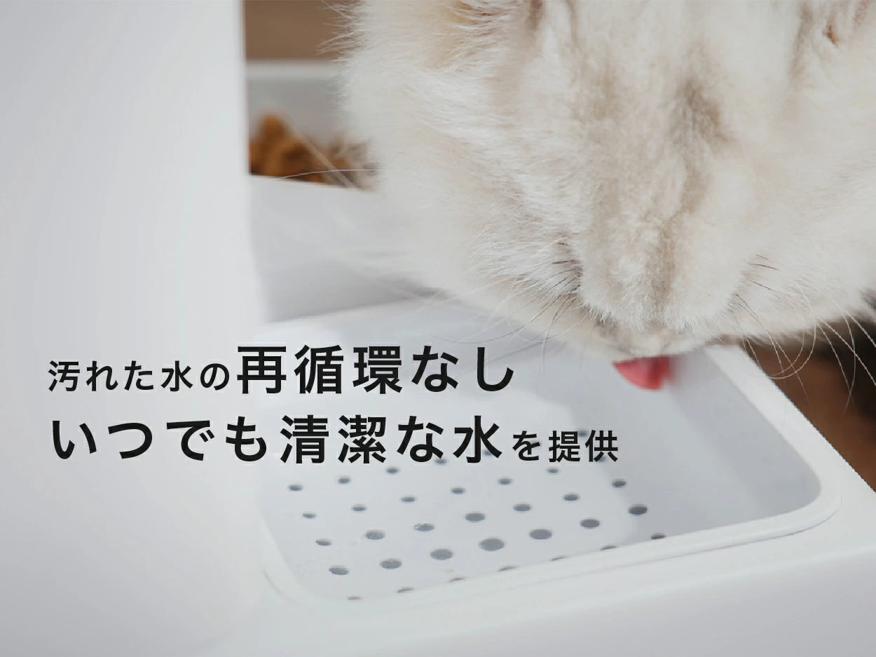 一体型スマート給餌給水器 | 2Kカメラ搭載 ペット自動給餌機 APP