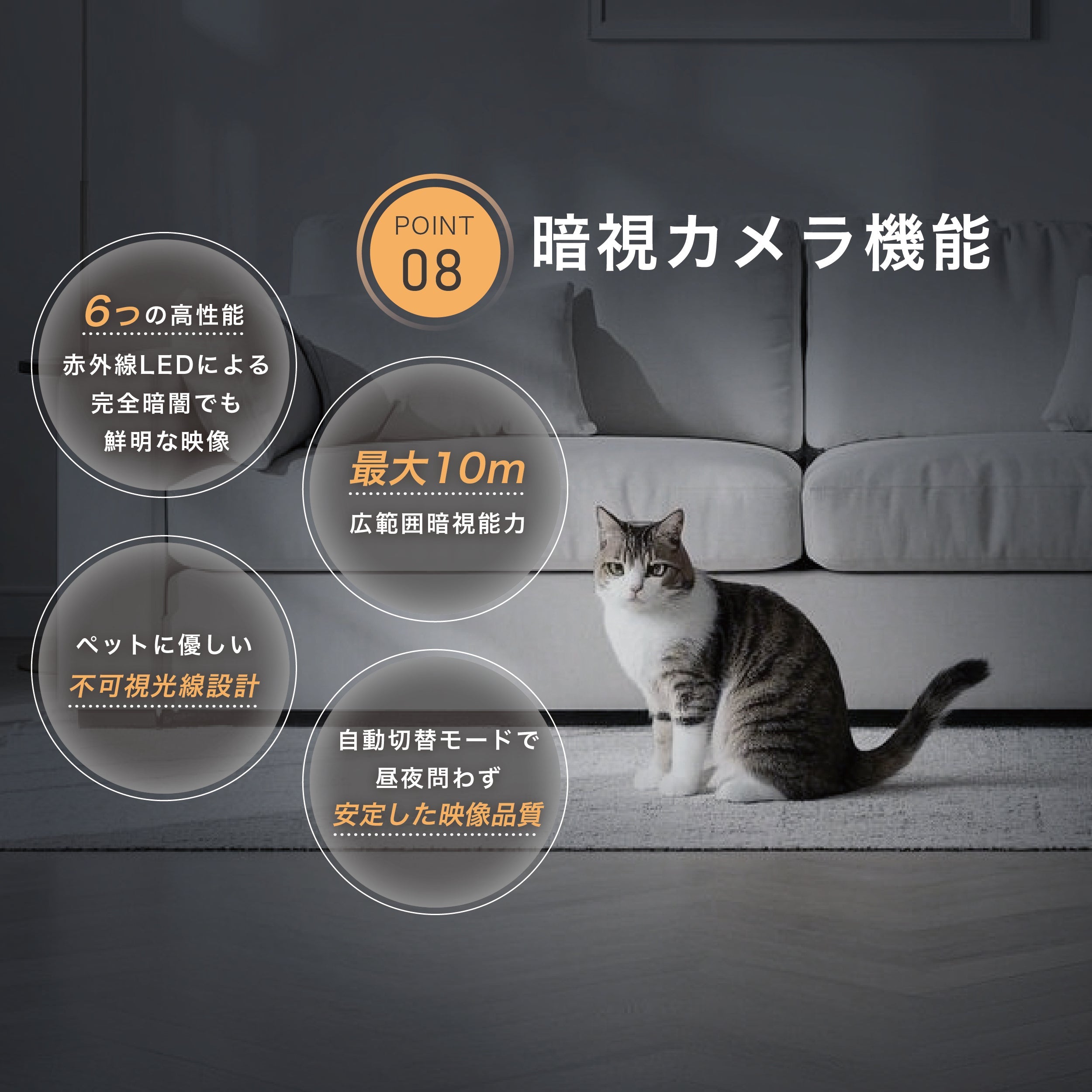 mino首振りカメラ付き自動給餌器
