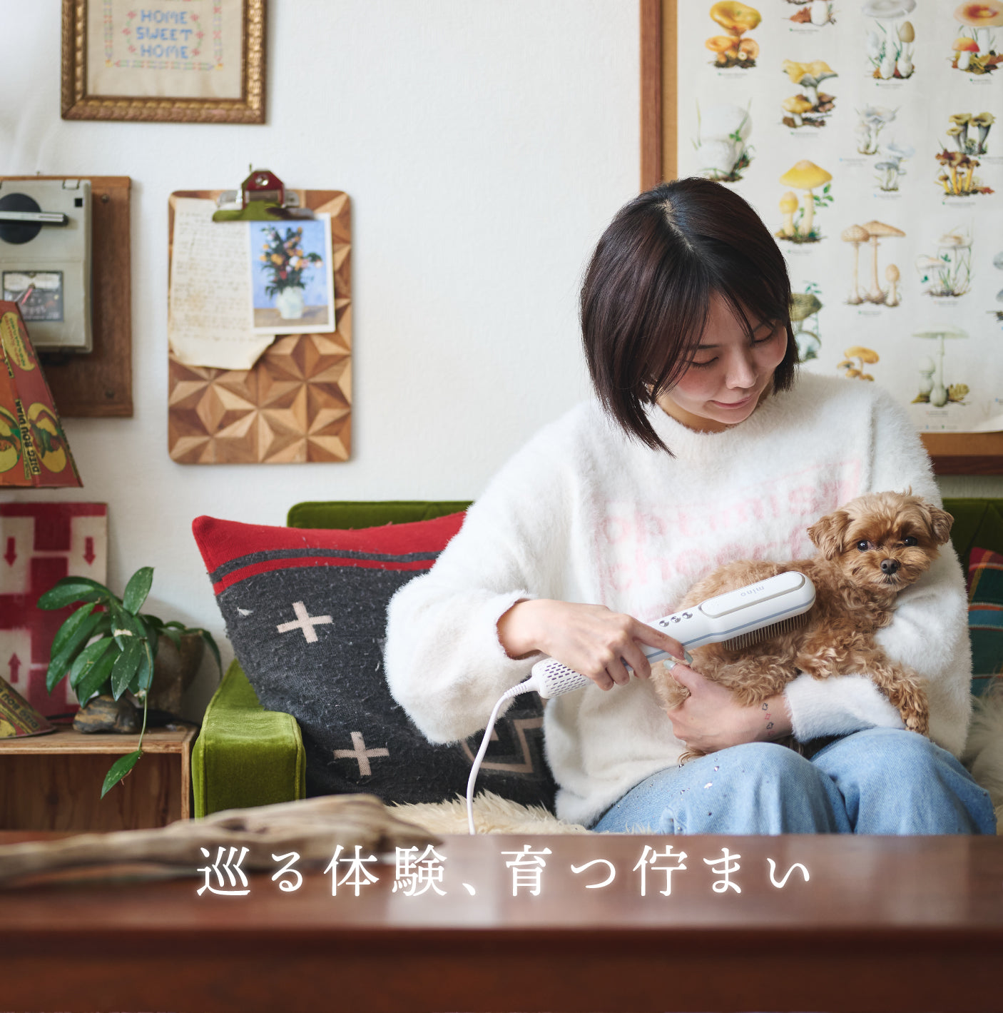minoオンラインストア
