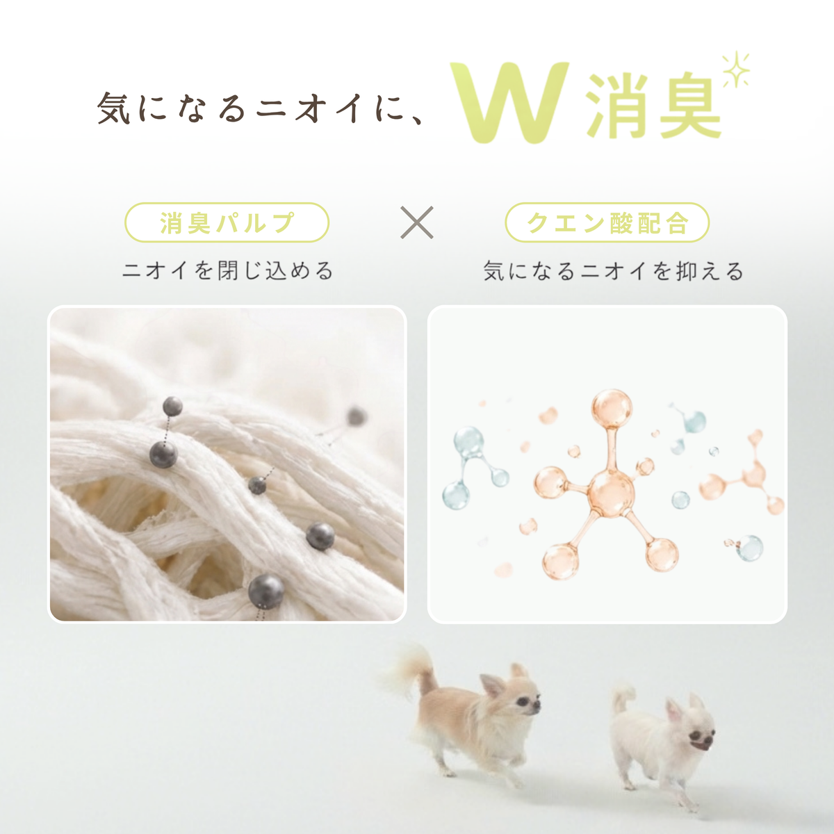 mino 超薄型ペットシーツ 犬用トイレシートW消臭 モレガード 1回使い切り 無香料 JPPMA認証 mino Online Store